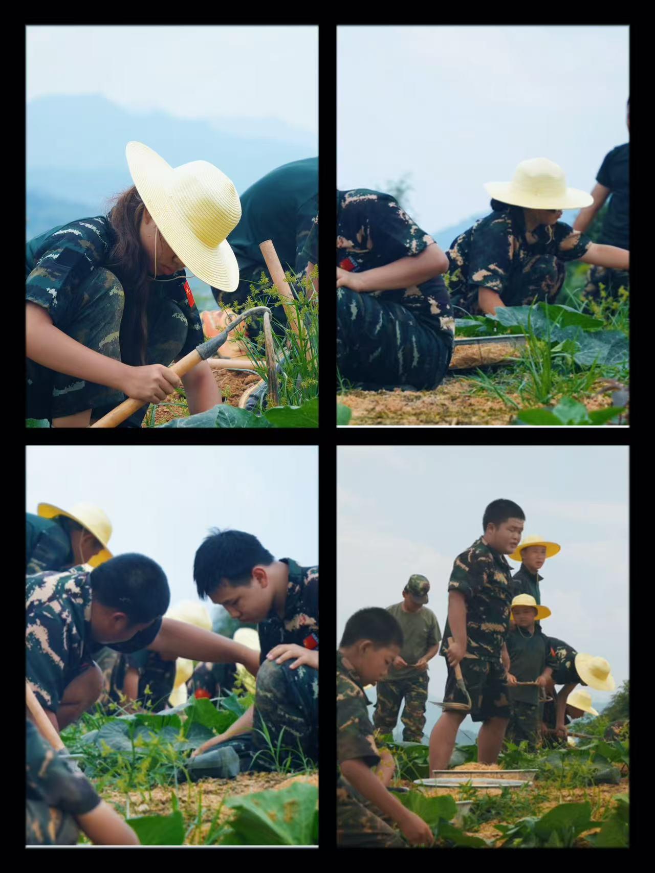 挖药材